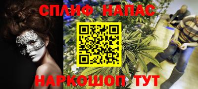 сатива Канаш