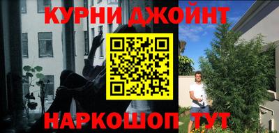 сатива Канаш
