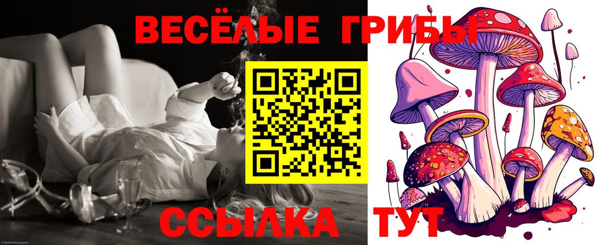 Псилоцибиновые грибы MAGIC MUSHROOMS  Вход с VPN  Учалы 